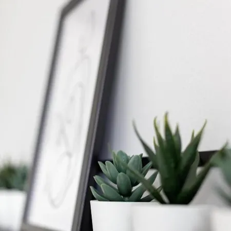 Апартаменти Artstay Centrum